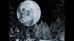 Snow Moon 2025: When To See February's Full Moon In India