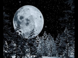 Snow Moon 2025: When To See February's Full Moon In India