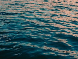 Dhule Crime : पत्नीसोबत किरकोळ वाद, संतापलेल्या बापाने चिमुरड्यांना तापी नदीत दिलं फेकून Dhule Crime : पत्नीसोबत किरकोळ वाद, संतापलेल्या बापाने चिमुरड्यांना तापी नदीत दिलं फेकून