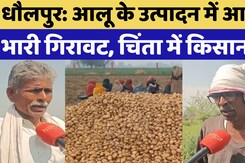 Dholpur में आलू के पैदावार में कमी आने से Farmers परेशान, सरकार से लगाई ये गुहार!
