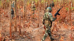 Naxalites Encounter: बालाघाटमध्ये मोठी चकमक! 3 महिला नक्षलवाद्यांसह 4 जणांचा खात्मा; शोधमोहिम सुरु