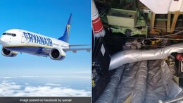 Cat "Hijacks" RyanAir Flight To Germany, Causing 2-Day Delay