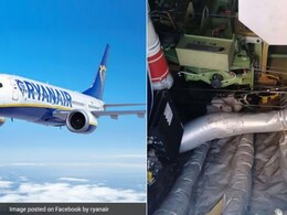 Cat "Hijacks" RyanAir Flight To Germany, Causing 2-Day Delay