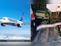 Cat "Hijacks" RyanAir Flight To Germany, Causing 2-Day Delay