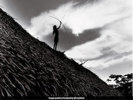 Isolated Indigenous Man Leaves Amazon Forest, Returns In 24 Hours Isolated Indigenous Man Leaves Amazon Forest, Returns In 24 Hours