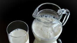 Oat Milk Vs. Cow's Milk: Which One Should You Choose For Better Health?