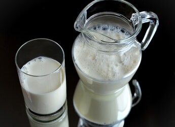 Oat Milk Vs. Cow's Milk: Which One Should You Choose For Better Health? Oat Milk Vs. Cow's Milk: Which One Should You Choose For Better Health?