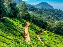 Hill Station Chikhaldara : स्वर्ग से कम नहीं हैं महाराष्ट्र का यह हिल स्टेशन, जानिए क्या है खासियत Hill Station Chikhaldara : स्वर्ग से कम नहीं हैं महाराष्ट्र का यह हिल स्टेशन, जानिए क्या है खासियत