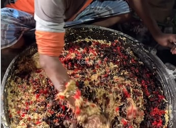 This Mixed Fruit Cake Prep Video Is Going Viral For All The Wrong Reasons This Mixed Fruit Cake Prep Video Is Going Viral For All The Wrong Reasons