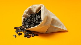 Superfood: सिर्फ फूल ना समझें, सुपरफूड हैं इसके बीज! एनर्जी भी मिलेगी, बीमारी भी भागेगी