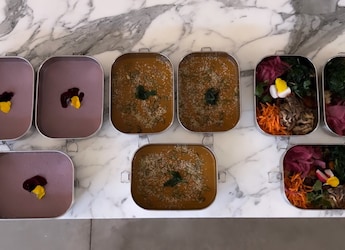 US Millionaire Bryan Johnson Adds Garam Masala To Diet, Shows Meals In Metal 'Dabbas' US Millionaire Bryan Johnson Adds Garam Masala To Diet, Shows Meals In Metal 'Dabbas'