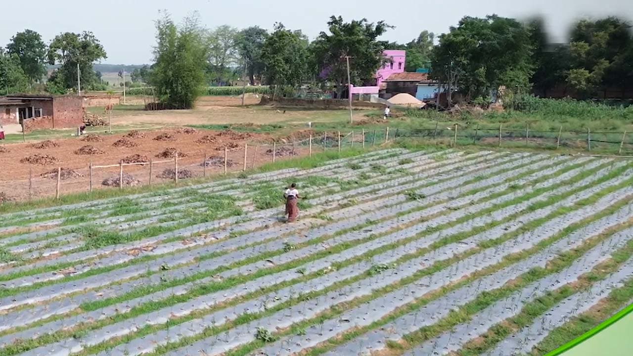 Video: Creating A Healthier Tomorrow With Herbalife