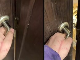 दरवाजा खोलते ही सामने आ धमका बाघ, 13 सेकंड के इस वीडियो को देख उखड़ जाएंगी सांसें दरवाजा खोलते ही सामने आ धमका बाघ, 13 सेकंड के इस वीडियो को देख उखड़ जाएंगी सांसें