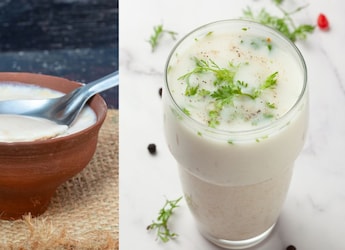 Curd Or Buttermilk: Which One Is Better For You? Expert Weighs In Curd Or Buttermilk: Which One Is Better For You? Expert Weighs In