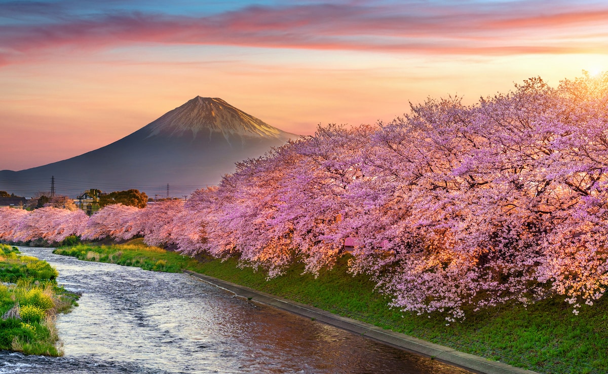 Trust Tokyo to show you a good time. Photo: iStock Trust Tokyo to show you a good time. Photo: iStock