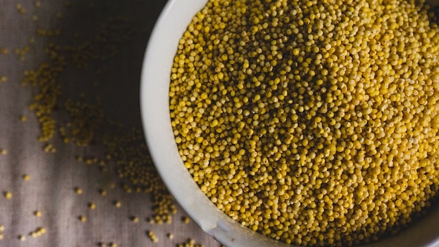 If you want more fibre, then opt for jowar or bajra
