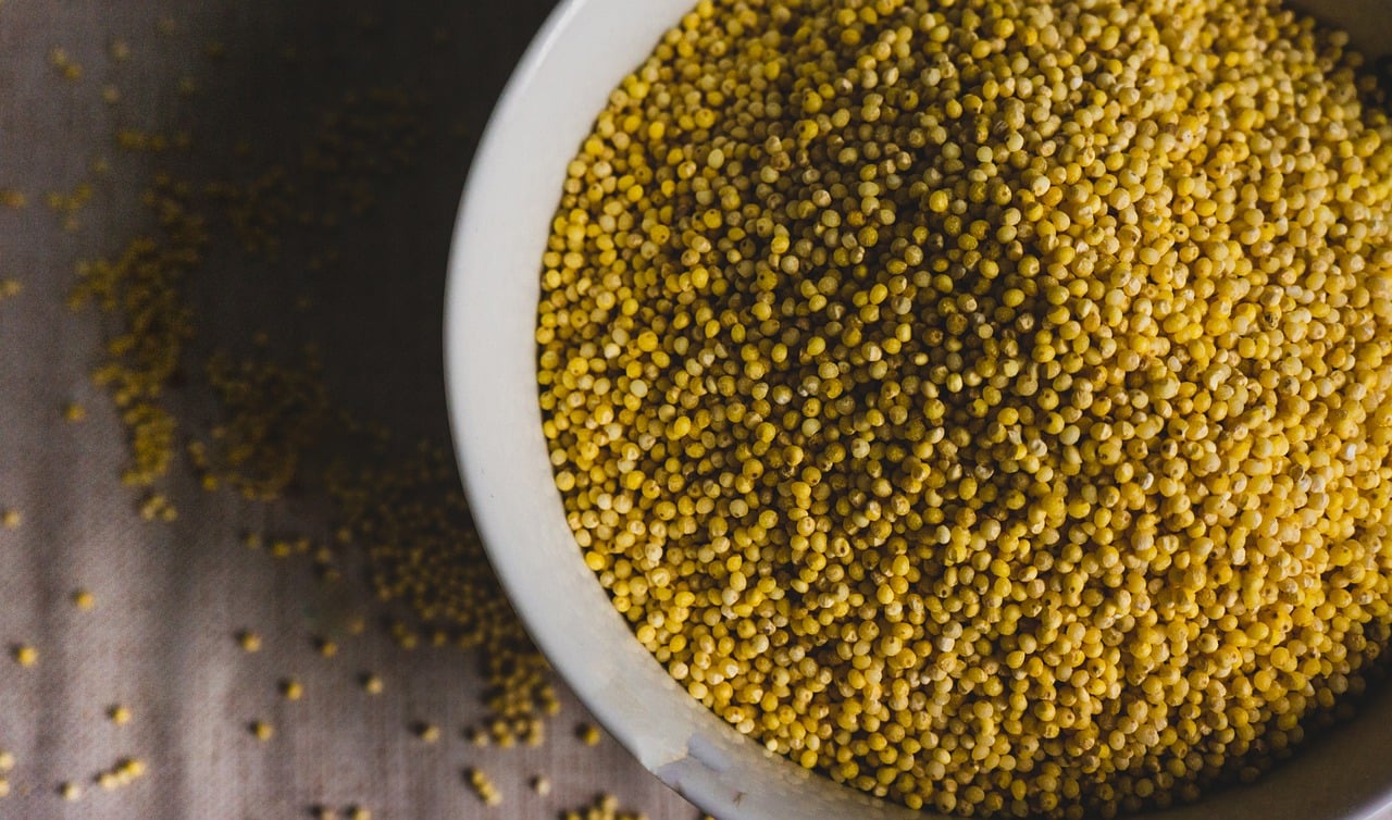If you want more fibre, then opt for jowar or bajra