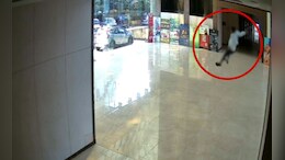 CG News: बेबीलॉन टावर की 7वीं मंजिल से कूदा युवक, शरीर से नहीं निकला खून... CCTV फुटेज आया सामने