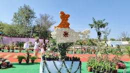 राजस्थान के फ्लावर शो ने लूटी महफिल, 200 प्रजातियों के फूल, 10 हजार पौधे, इसे देखने दूर-दूर से पहुंच रहे लोग