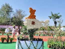 राजस्थान के फ्लावर शो ने लूटी महफिल, 200 प्रजातियों के फूल, 10 हजार पौधे, इसे देखने दूर-दूर से पहुंच रहे लोग