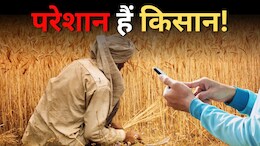 Maihar News: राजस्व विभाग का बुरा हाल, गिरदावरी न होने से रुकी पंजीयन की रफ्तार... कलेक्टर को लिखा गया पत्र