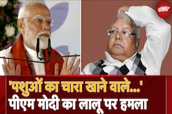PM Modi in Bihar: गरीब, अन्नदाता, युवा और महिलाएं लोकतंत्र के चार स्तंभ: भागलपुर की सभा में बोले PM Modi PM Modi in Bihar: गरीब, अन्नदाता, युवा और महिलाएं लोकतंत्र के चार स्तंभ: भागलपुर की सभा में बोले PM Modi