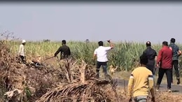 Pune Bus Rape Accused Hiding In Sugarcane Field? Cops Use Drones