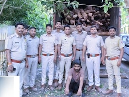 ग्राउंड रिपोर्ट: 'पुष्पा' फिल्म की तर्ज पर हो रही थी 'खैर की लकड़ी' की तस्करी, वन विभाग 6 महीने से कर रही ताबड़तोड़ कार्रवाई