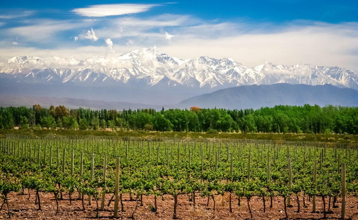 Mendoza. Photo: iStock Mendoza. Photo: iStock