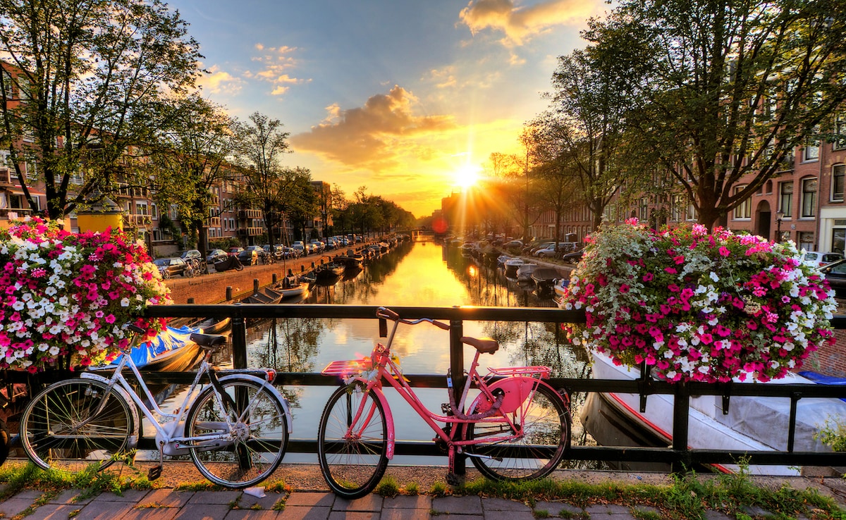 Photo: iStock Photo: iStock