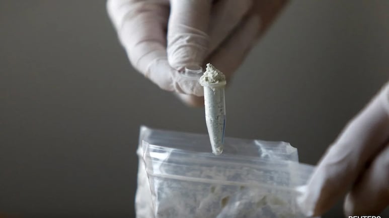 2 Indians Sanctioned By US For Selling Fake Pills Filled With Fentanyl