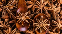 Star Anise: From Lung Health To Digestion; Here's How This Spice Can Boost Your Health
