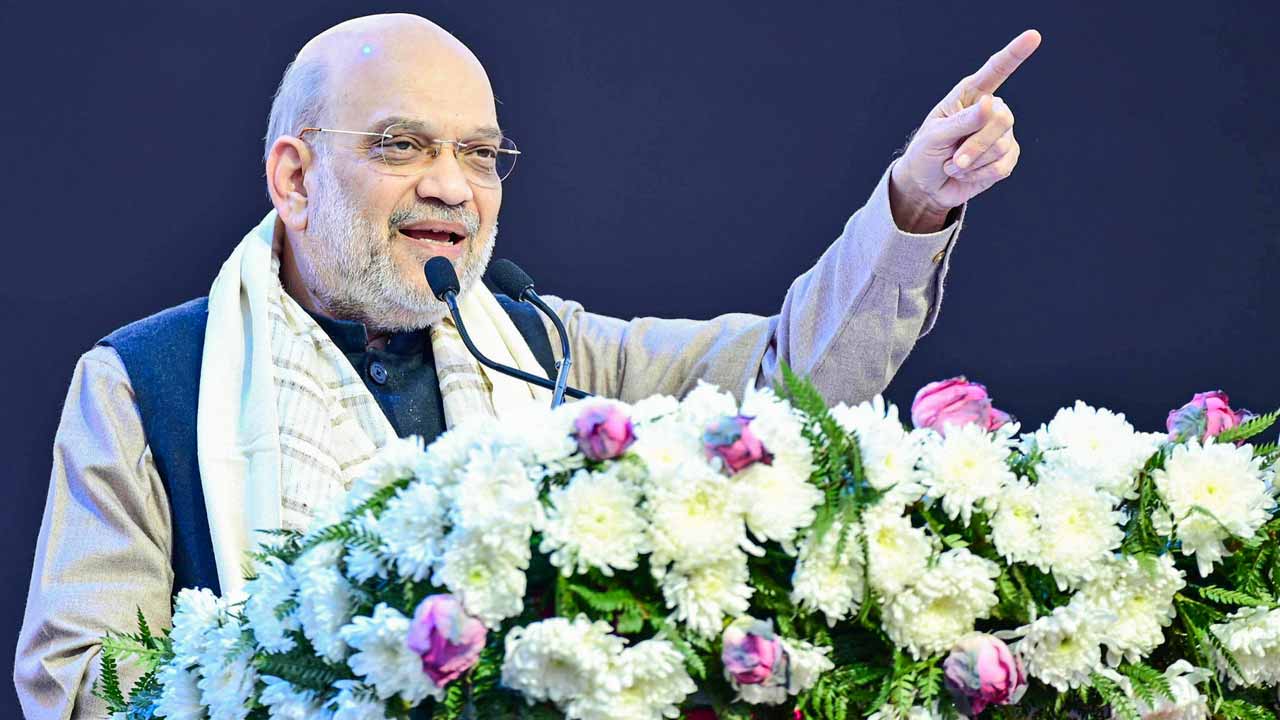 Won't Lose Any Seat: Amit Shah's Big Promise To Tamil Nadu On Delimitation