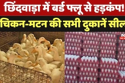 Bird Flu: Chhindwara में बर्ड फ्लू की दस्तक से हड़कंप, 30 दिनों के लिए चिकन-मटन की दुकानें सील