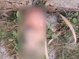 Newborn Declared Dead By UP Hospital, Then Dogs Eat His Head Newborn Declared Dead By UP Hospital, Then Dogs Eat His Head