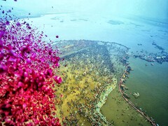 महाकुंभ: बसंत पंचमी पर 2.5 करोड़ ने किया अमृत स्‍नान, अब तक 35 करोड़ श्रद्धालु लगा चुके आस्‍था की डुबकी