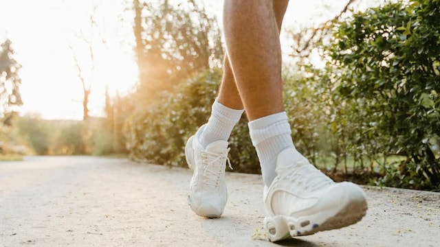 Regular walking can elevate your metabolism