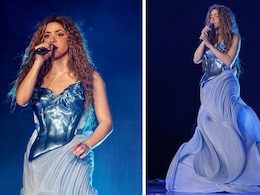 Shakira Dazzels In A Custom Made Metallic Wolf Gown By Designer Gaurav Gupta Shakira Dazzels In A Custom Made Metallic Wolf Gown By Designer Gaurav Gupta