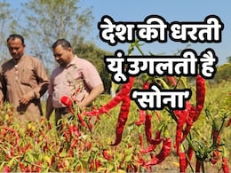 वाह ! 8वीं पास किसान 12 साल में 8 बीघा से 50 बीघा जमीन का बना मालिक, इस तरकीब से टर्नओवर भी पहुंचा एक करोड़ वाह ! 8वीं पास किसान 12 साल में 8 बीघा से 50 बीघा जमीन का बना मालिक, इस तरकीब से टर्नओवर भी पहुंचा एक करोड़
