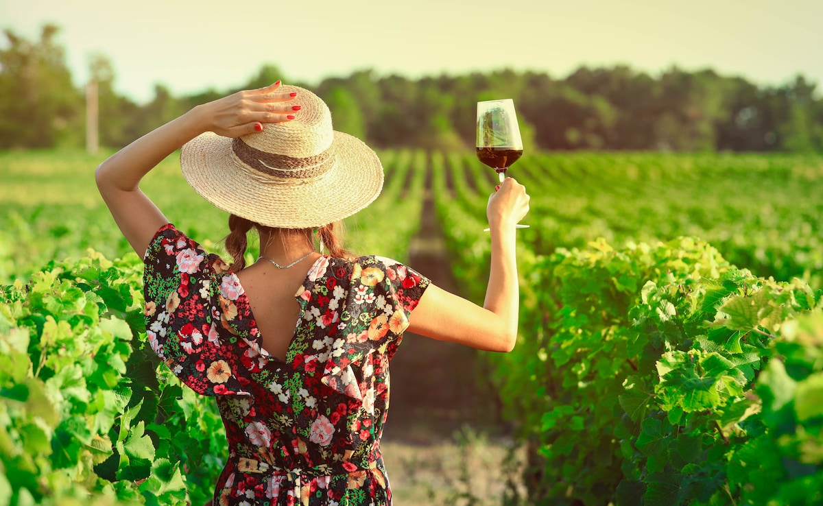Wine tour in Nashik. Photo: iStock Wine tour in Nashik. Photo: iStock