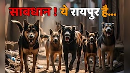 अब तो कुछ करो सरकार! खुद विधानसभा में बताया- रायपुर में हर दिन करीब 47 लोगों को काटते हैं कुत्ते