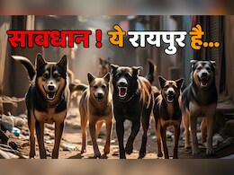 अब तो कुछ करो सरकार! खुद विधानसभा में बताया- रायपुर में हर दिन करीब 47 लोगों को काटते हैं कुत्ते