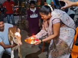 Badlapur News : वासराच्या बारशाचा अनोखा सोहळा; मटनाचं गावजेवण, नावही भन्नाट ठेवलं