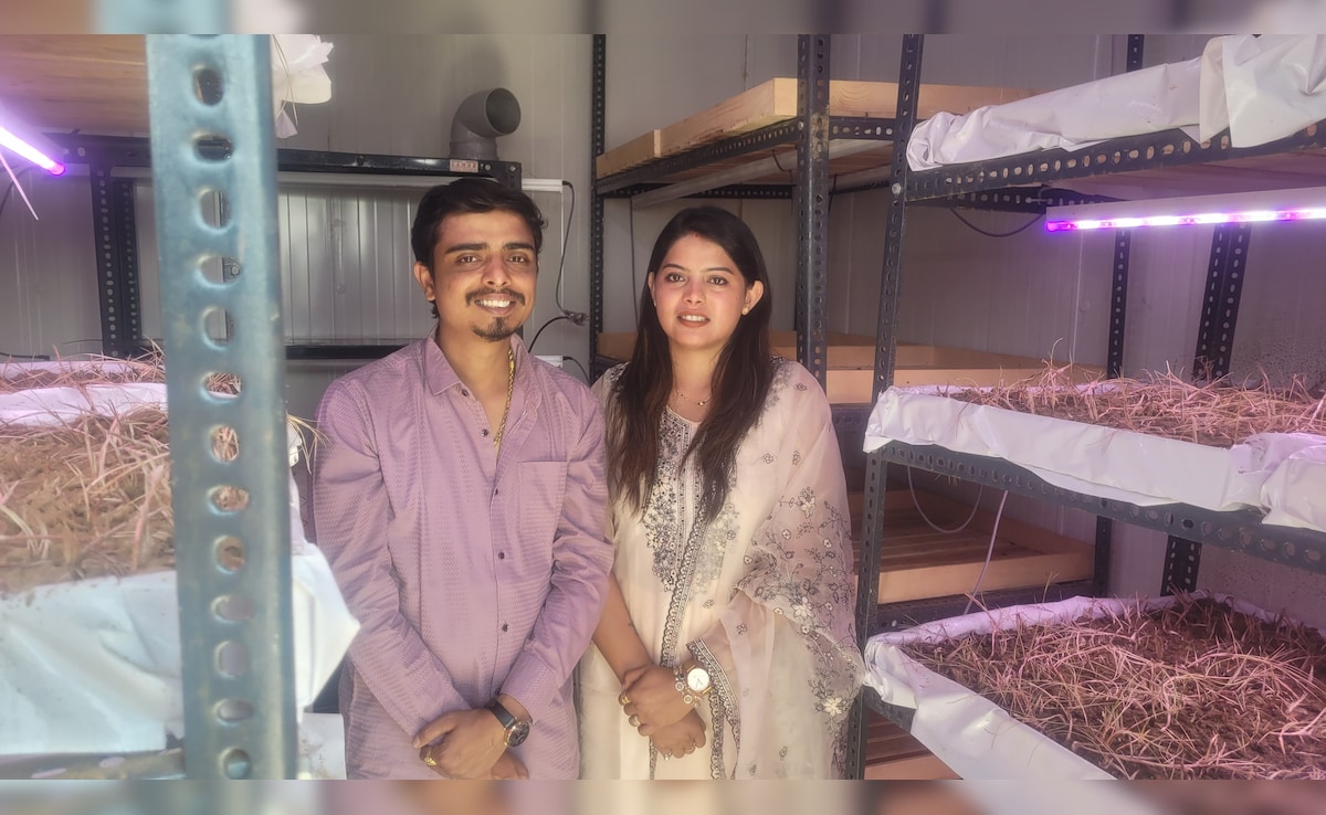 Latest and Breaking News on NDTV