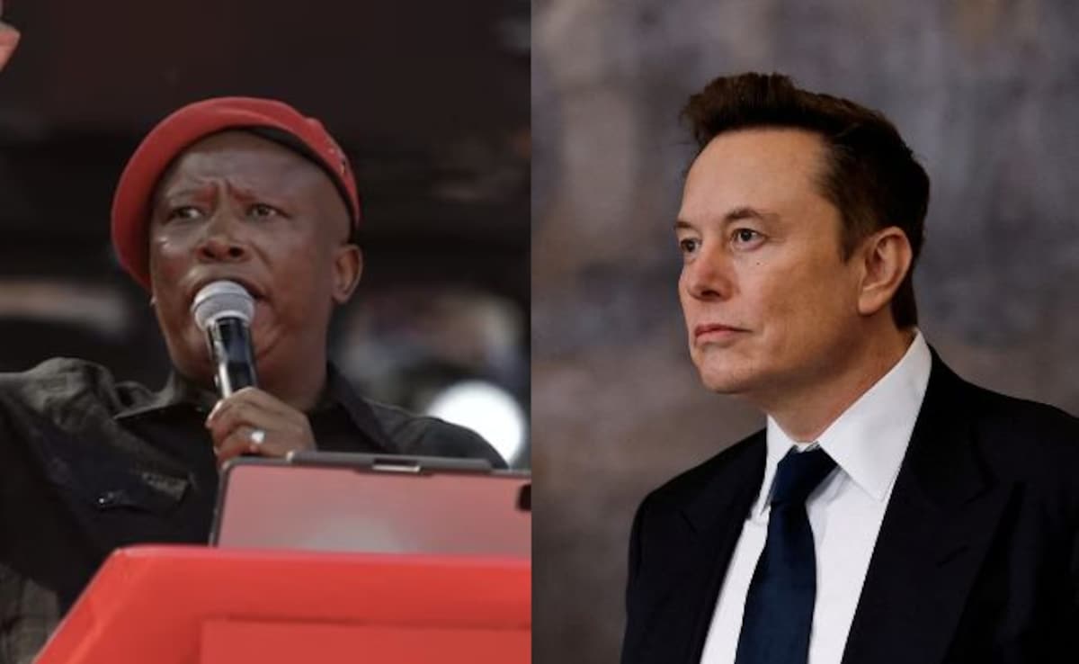 Old Video Of African Leader Chanting 'Kill White Farmers' Viral, Musk Reacts