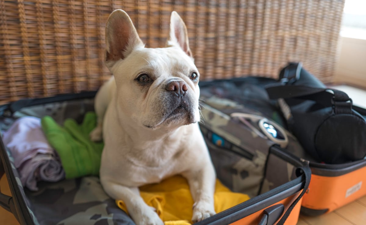 Its always smart to save some extra space for souvenirs! Photo: iStock Its always smart to save some extra space for souvenirs! Photo: iStock