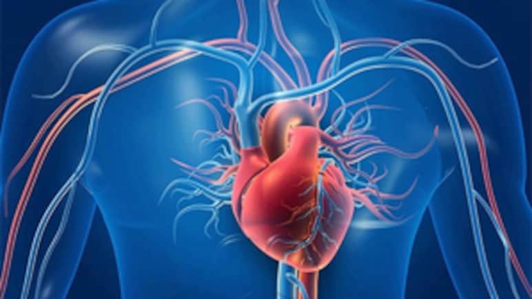 Vitamin K Can Cut Down Heart Disease Risk: Food Sources And How Much To Consume Daily