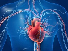 Poor Gut Health Can Trigger Heart Attack Risk: Cardiologist Explains How