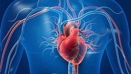 Poor Gut Health Can Trigger Heart Attack Risk: Cardiologist Explains How