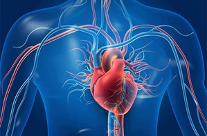 Vitamin K helps reduce blood pressure